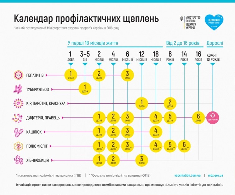 Проведення вакцинації відповідно до календаря щеплень