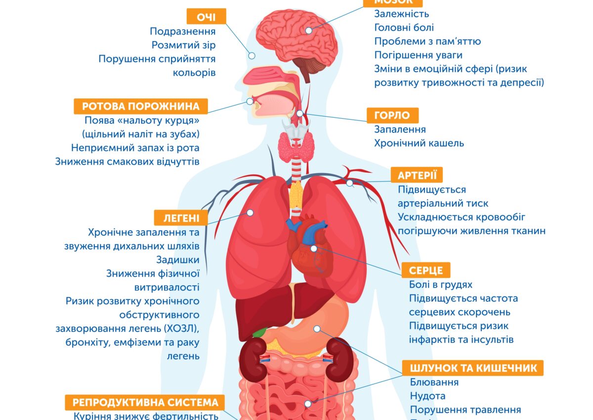 Що відбувається з організмом, коли ви курите